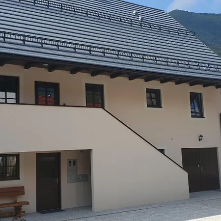 Apartment Apartmaji Vitez Apartma 4 *